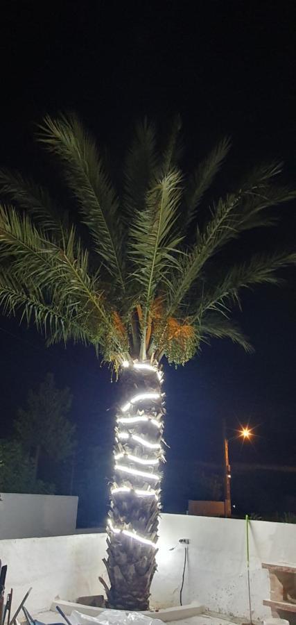 Apartamentos La Palmera Fernan Perez 외부 사진